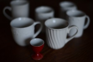 DSC_0876