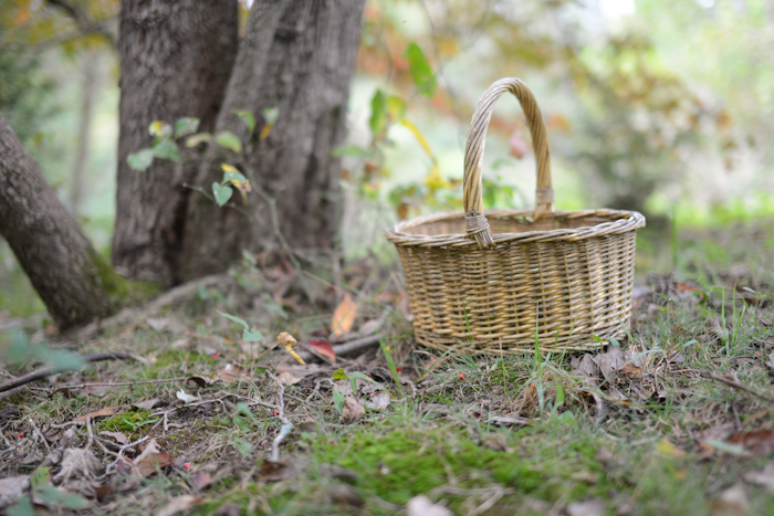 DSC_0988