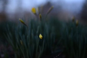 20130221-DSC_8067