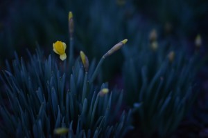 20130221-DSC_8075