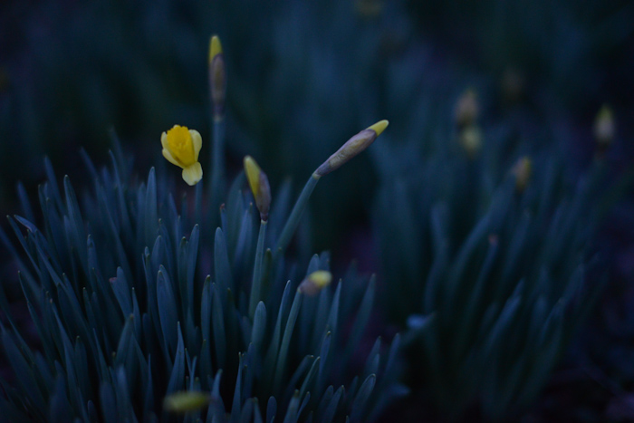 20130221-DSC_8075