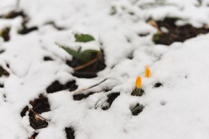 DSC_1346-5